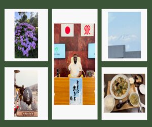SGS Blog - Trip To Japan